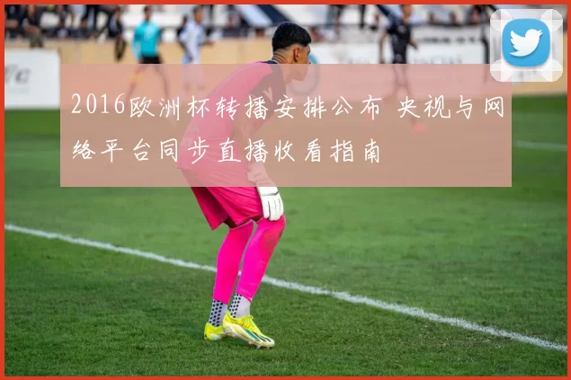 2016欧洲杯转播安排公布 央视与网络平台同步直播收看指南