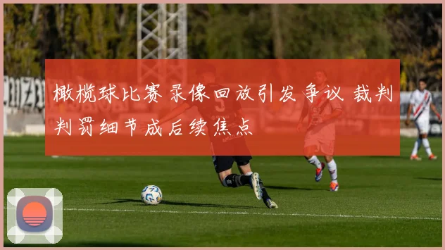 橄榄球比赛录像回放引发争议 裁判判罚细节成后续焦点