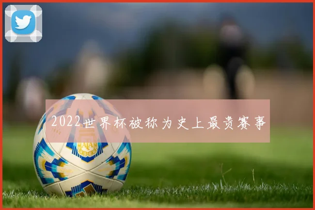 2022世界杯被称为史上最贵赛事