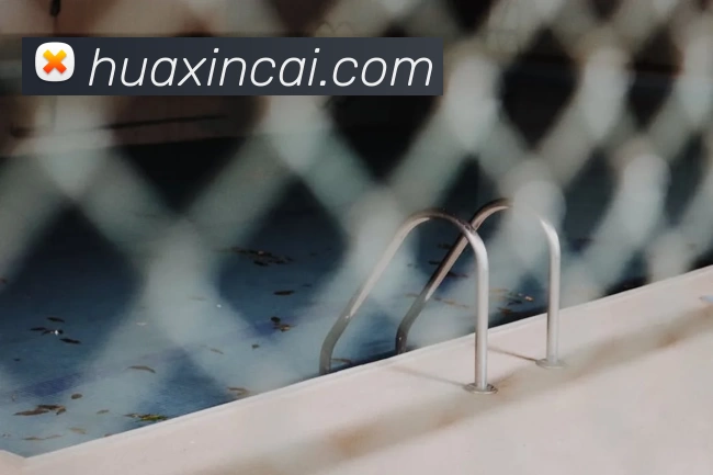 环球国际体育入口平台生态图